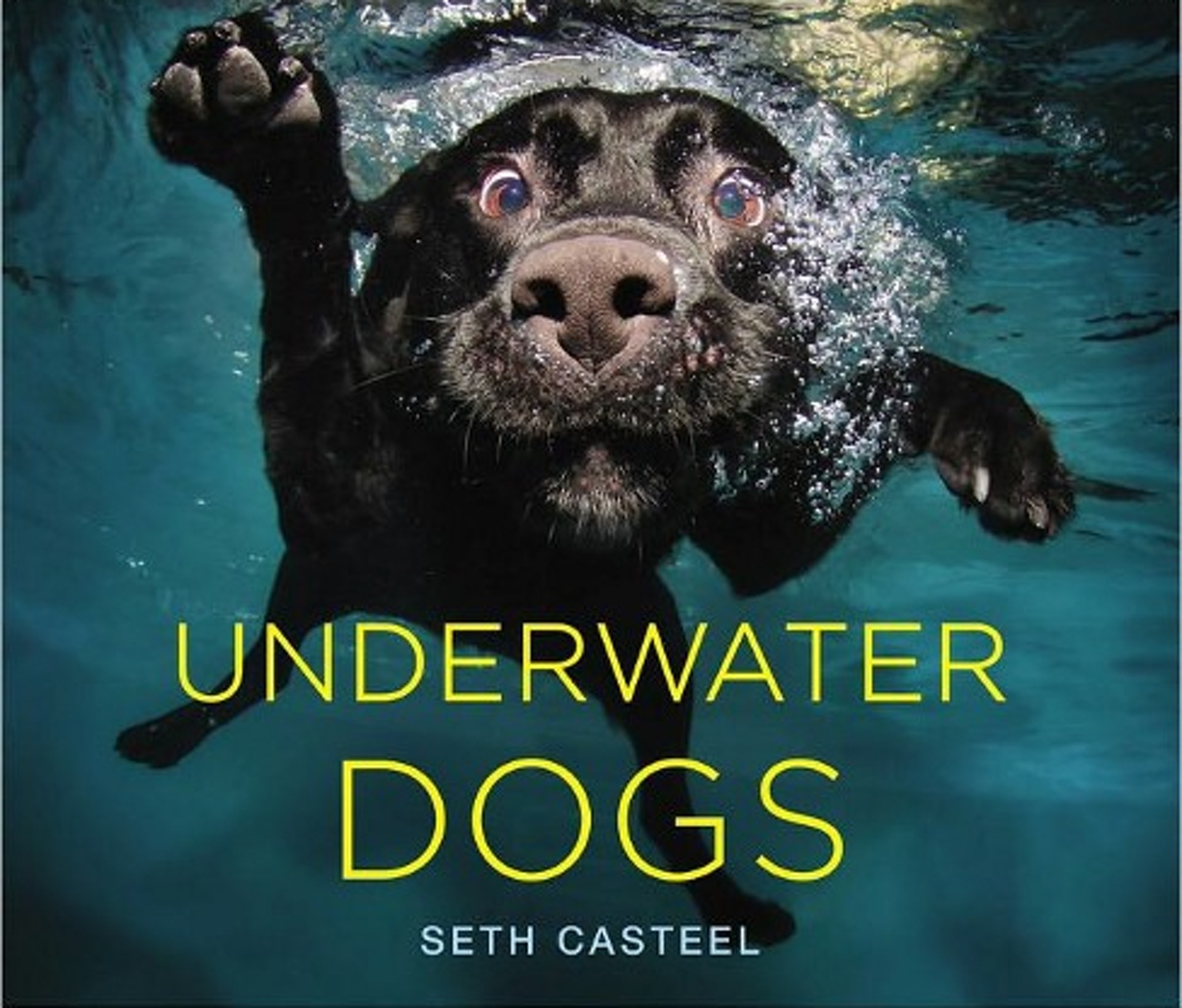 2014年他推出攝影集「Underwater Dogs」,書中收錄了超過80張狗狗在水底的相片,曾成功打入紐約時報暢銷書榜。(Seth Casteel) 2014年他推出攝影集「Underwater Dogs」,書中收錄了超過80張狗狗在水底的相片,曾成功打入紐約時報暢銷書榜。(Seth Casteel)
