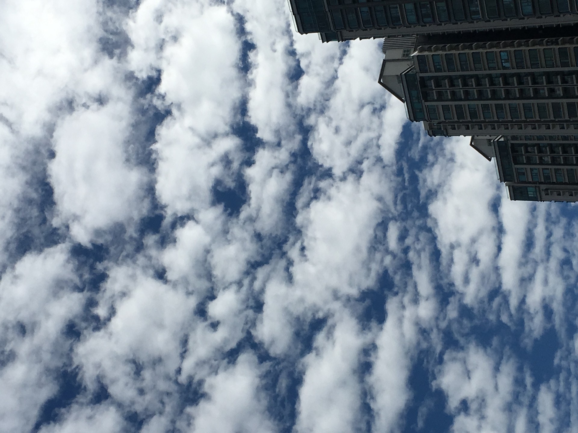 魚鱗雲 天空滿布 高積雲 激似魚鱗網民 傳說中嘅地震雲