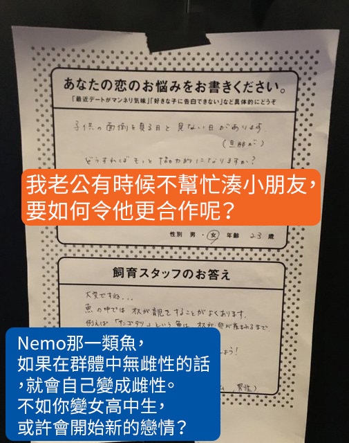 京都水族館設戀愛留言版員工化身專家解答超爆笑 香港01 熱爆話題