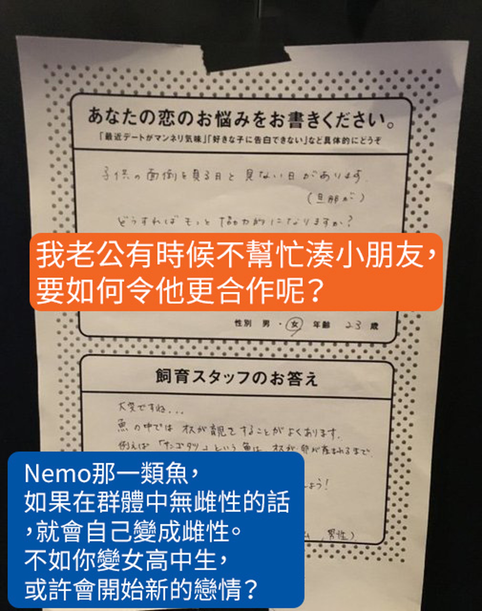 京都水族館設戀愛留言版員工化身專家解答超爆笑 香港01 熱爆話題 京都水族館設戀愛留言版員工化身專家解答超爆笑 香港01 熱爆話題