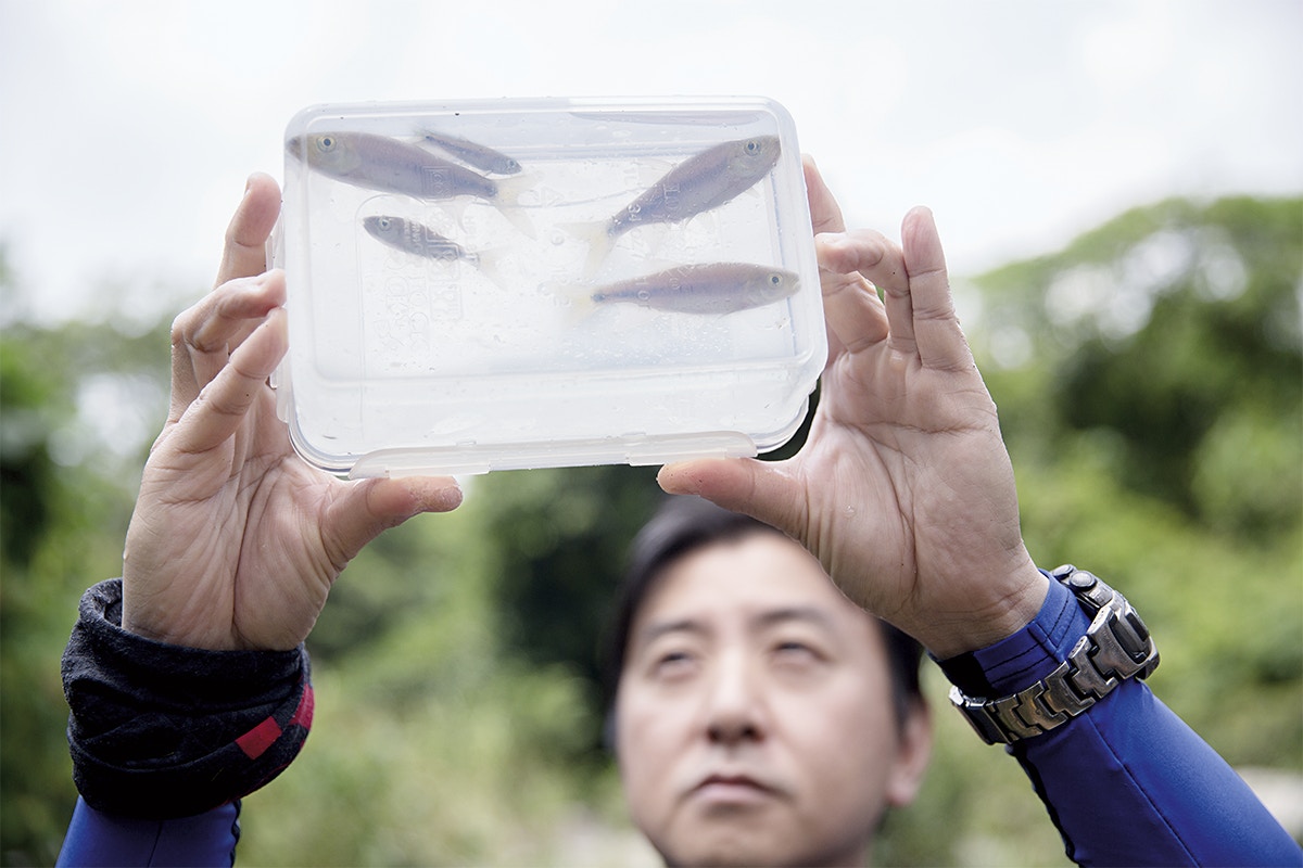 【本土魚類專家】專訪莊棣華　與魚共存的成長歷程