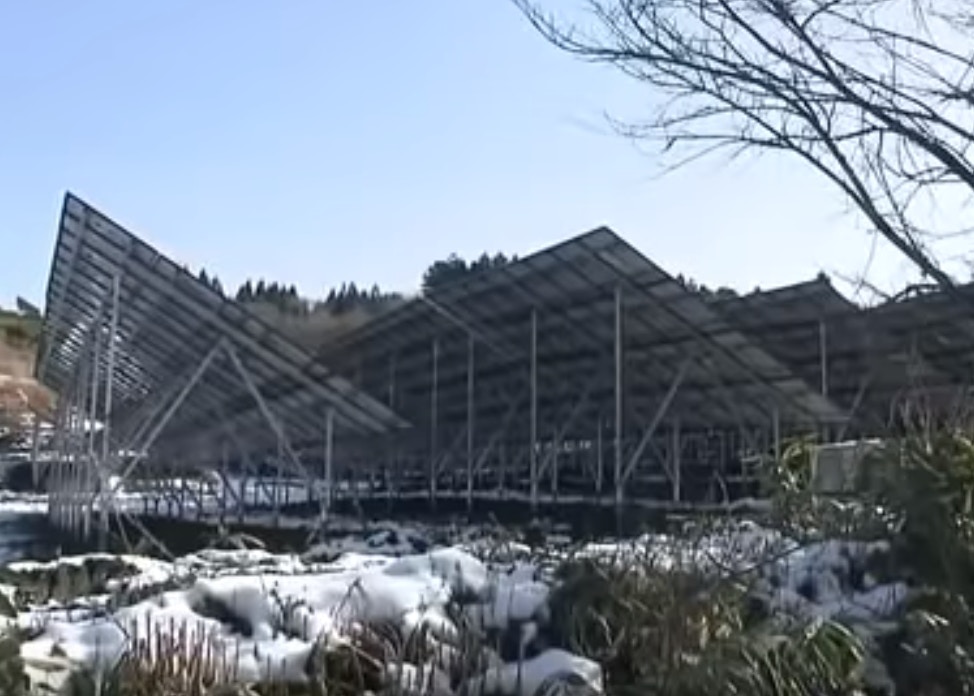 4名過期居留中國人被日警扣留疑為早前北海道失蹤地盤 黑工