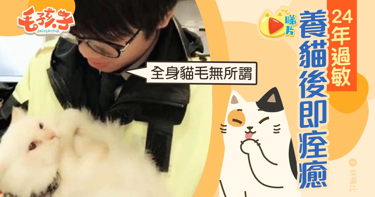 養貓一年即產生抗體　男貓奴創過敏症獨門療法