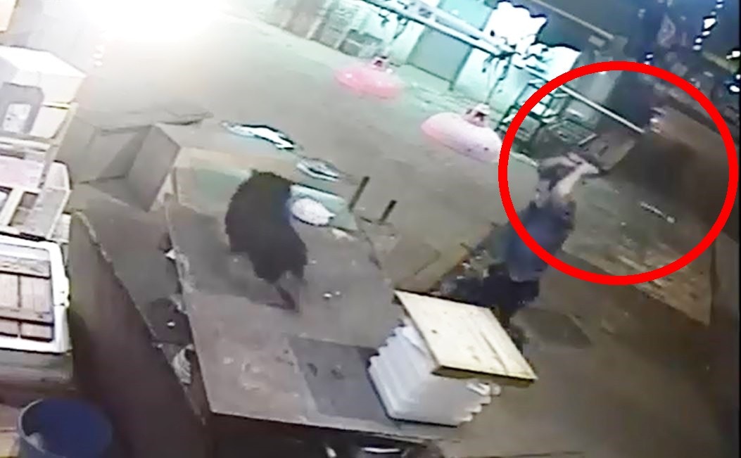 旺仔得悉有人襲擊,於是逃走。(影片截圖) 旺仔得悉有人襲擊,於是逃走。(影片截圖)