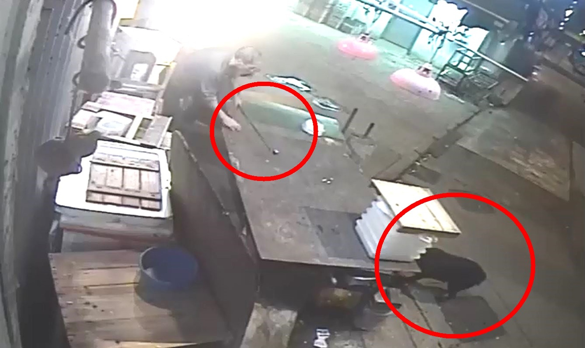 男子持棍追打旺仔。(影片截圖) 男子持棍追打旺仔。(影片截圖)