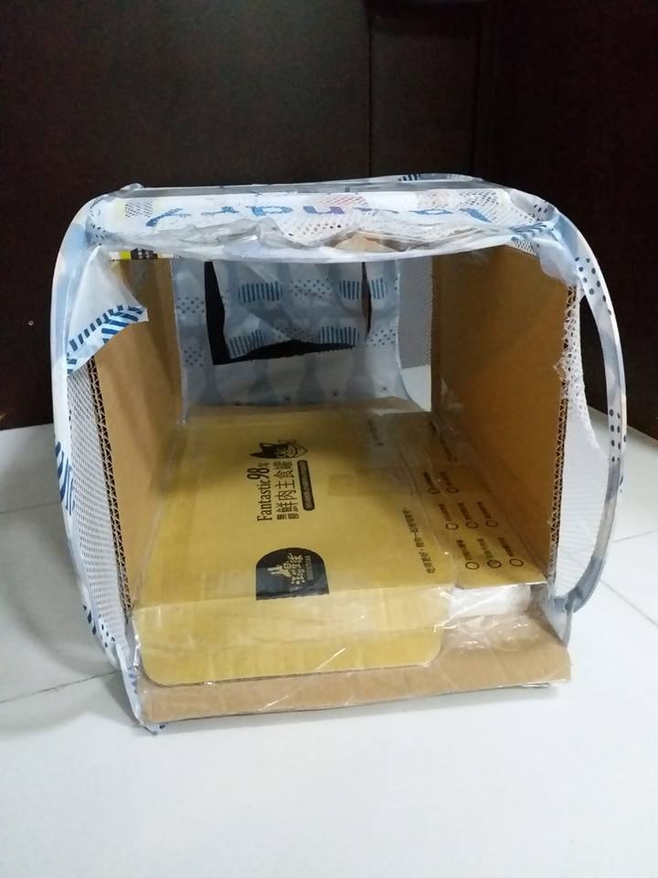 版主表示,放置避寒箱只屬臨時性質,過了最冷的日子便會逐一收回。(「西環貓奴」FB圖片) 版主表示,放置避寒箱只屬臨時性質,過了最冷的日子便會逐一收回。(「西環貓奴」FB圖片)