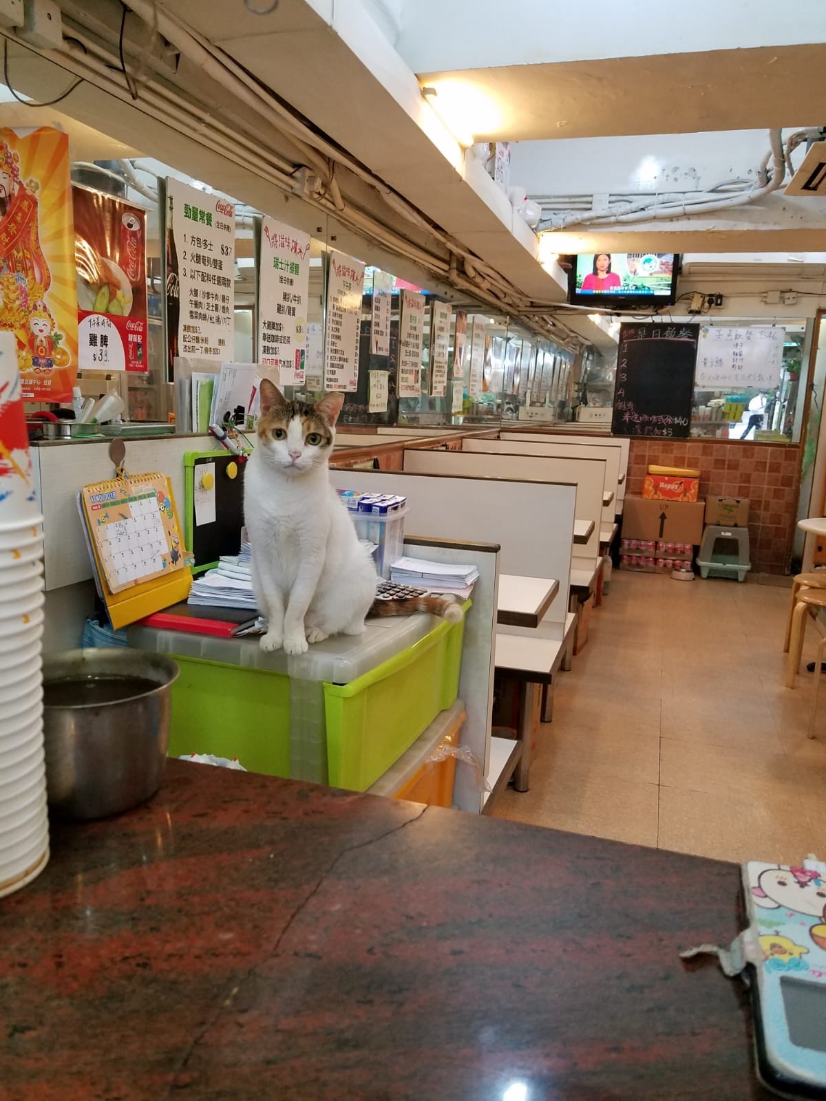 好旺茶餐廳全貌。(受訪者提供相片) 好旺茶餐廳全貌。(受訪者提供相片)