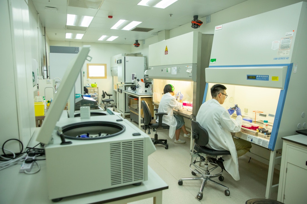 生物醫藥熱炒不倦龍頭股飆4倍領放大市專家授懶人穩贏術