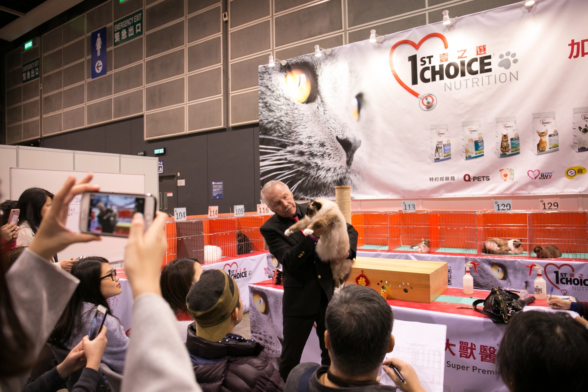 「第6屆冠軍貓展」設有「家貓組」,任何品種的貓貓也可報名參加。(香港寵物節) 「第6屆冠軍貓展」設有「家貓組」,任何品種的貓貓也可報名參加。(香港寵物節)