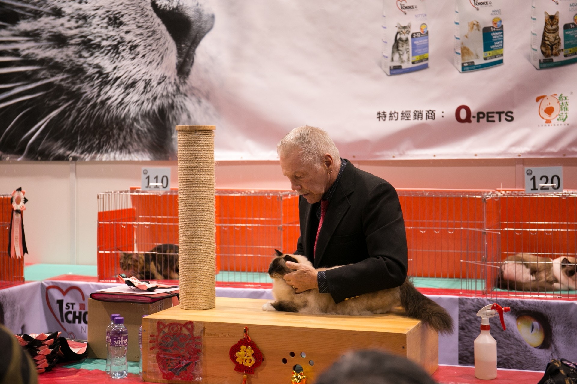 如果你認為家中主子外表可愛,性格活潑,不妨參加比賽一展身手!(香港寵物節) 如果你認為家中主子外表可愛,性格活潑,不妨參加比賽一展身手!(香港寵物節)