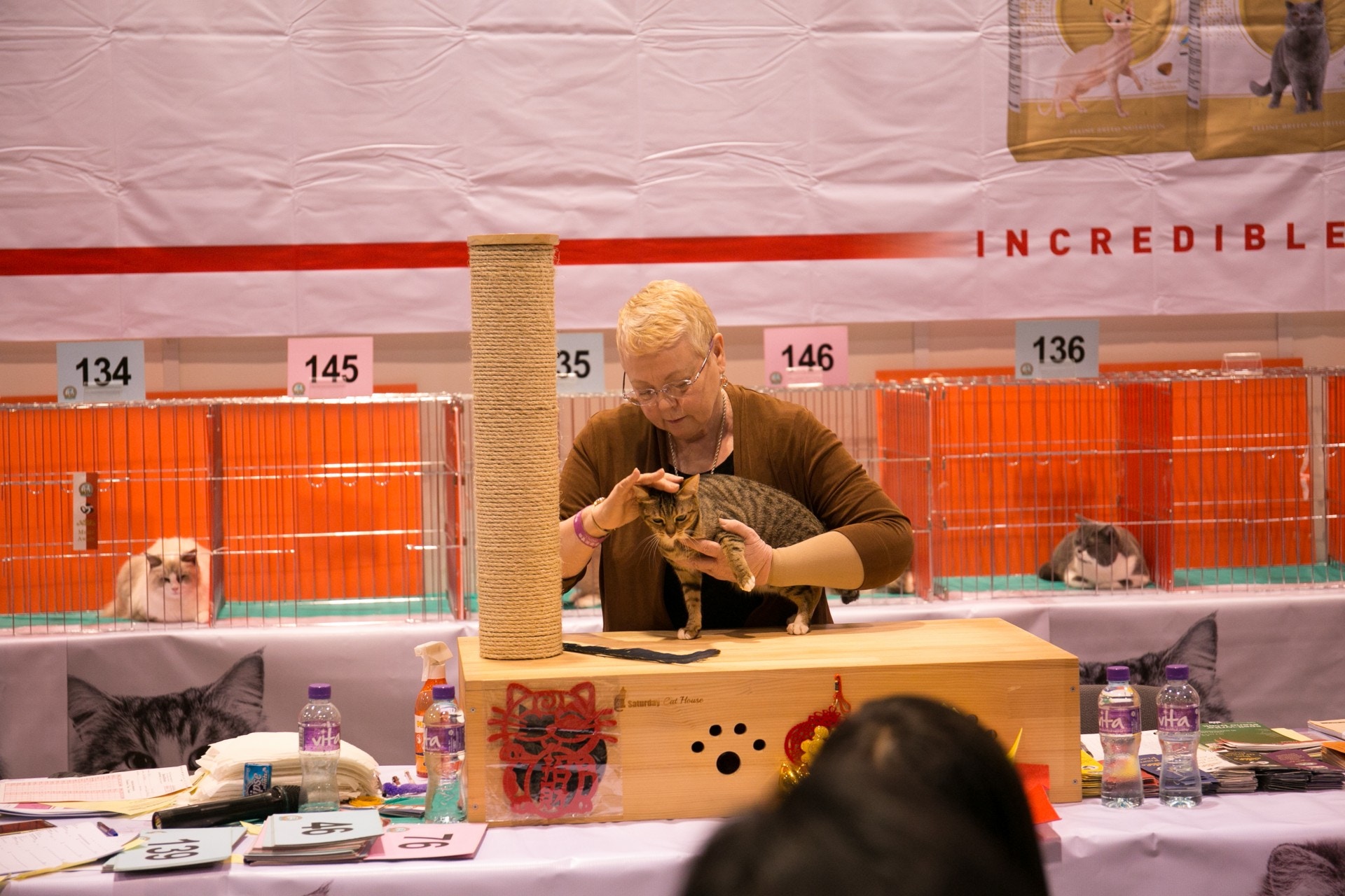 大會共邀請了8位海外資深評判訪港擔任評審。(香港寵物節) 大會共邀請了8位海外資深評判訪港擔任評審。(香港寵物節)