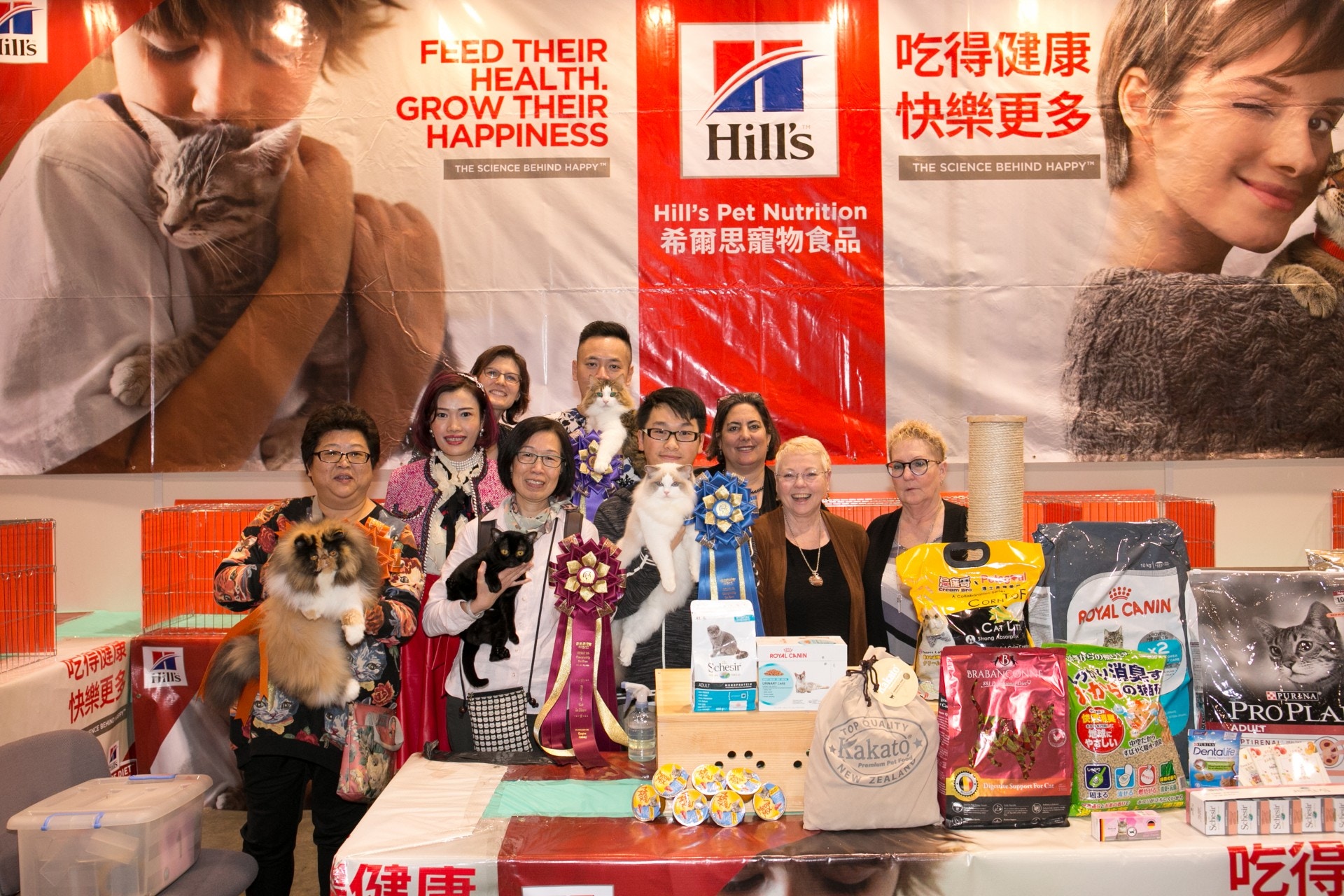 是次比賽設「成貓組」(冠軍貓組)、「絕育貓組」、「幼貓組」及「家貓組」。(香港寵物節) 是次比賽設「成貓組」(冠軍貓組)、「絕育貓組」、「幼貓組」及「家貓組」。(香港寵物節)