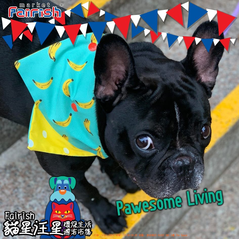 攤位「Pawesome Living 」,售賣各式寵物用品。(Fairish Market) 攤位「Pawesome Living 」,售賣各式寵物用品。(Fairish Market)