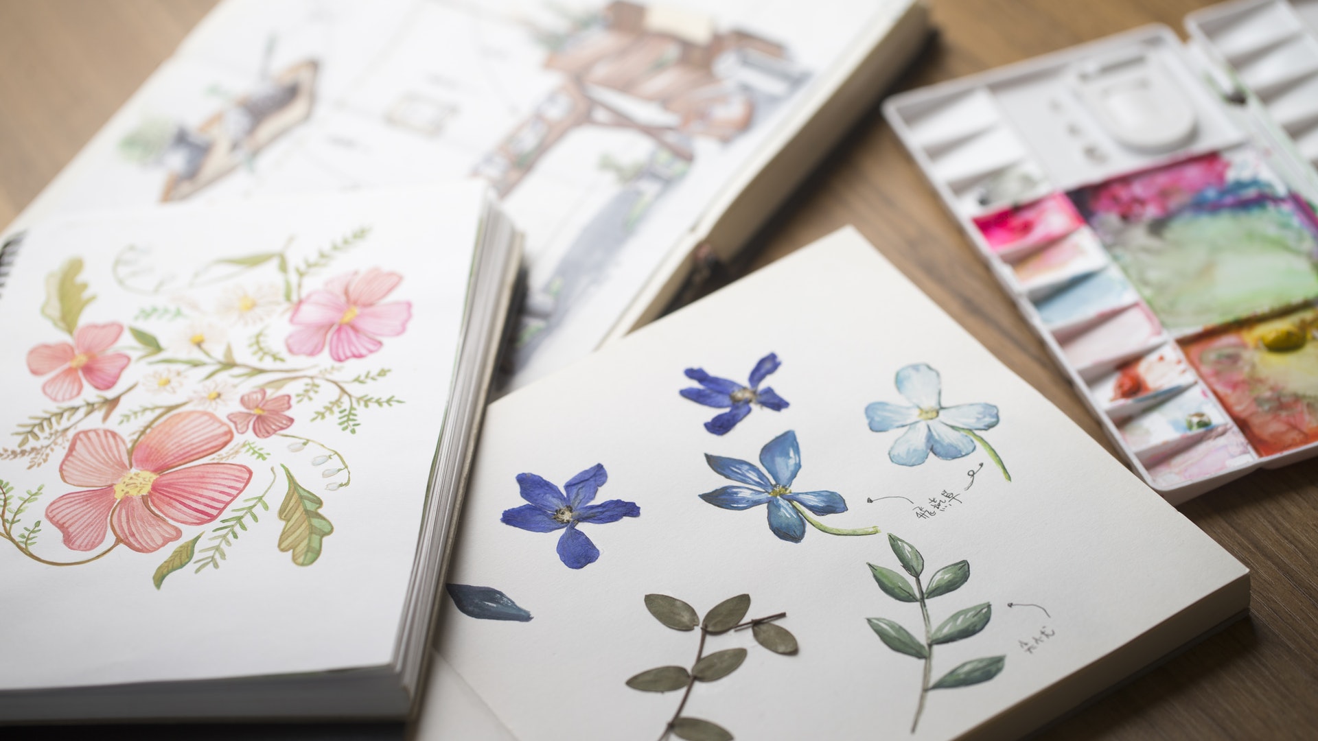 創作筆記 借手繪植物圖鑑反思 為何人會想到放棄生命 香港01 好生活