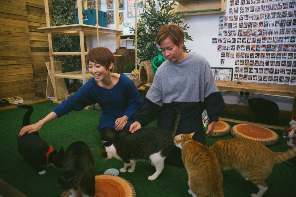 周家怡與張敏芳因貓兒結緣,二人更因此成為好友。 周家怡與張敏芳因貓兒結緣,二人更因此成為好友。