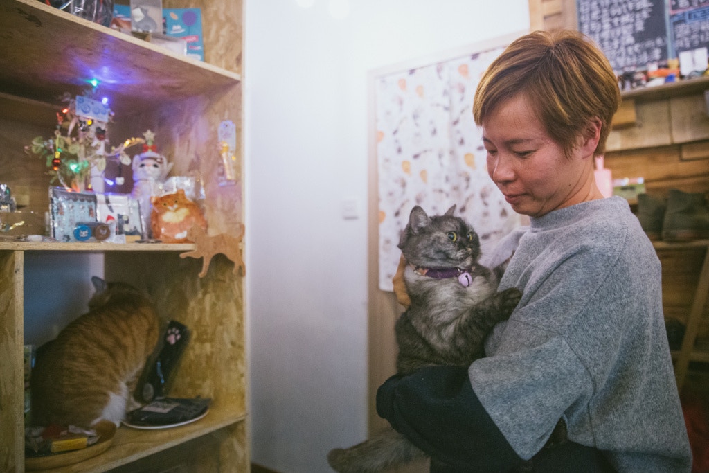 German 於2012年起開始照顧大澳流浪貓,起初獨力照顧小島上200多隻貓兒。 German 於2012年起開始照顧大澳流浪貓,起初獨力照顧小島上200多隻貓兒。