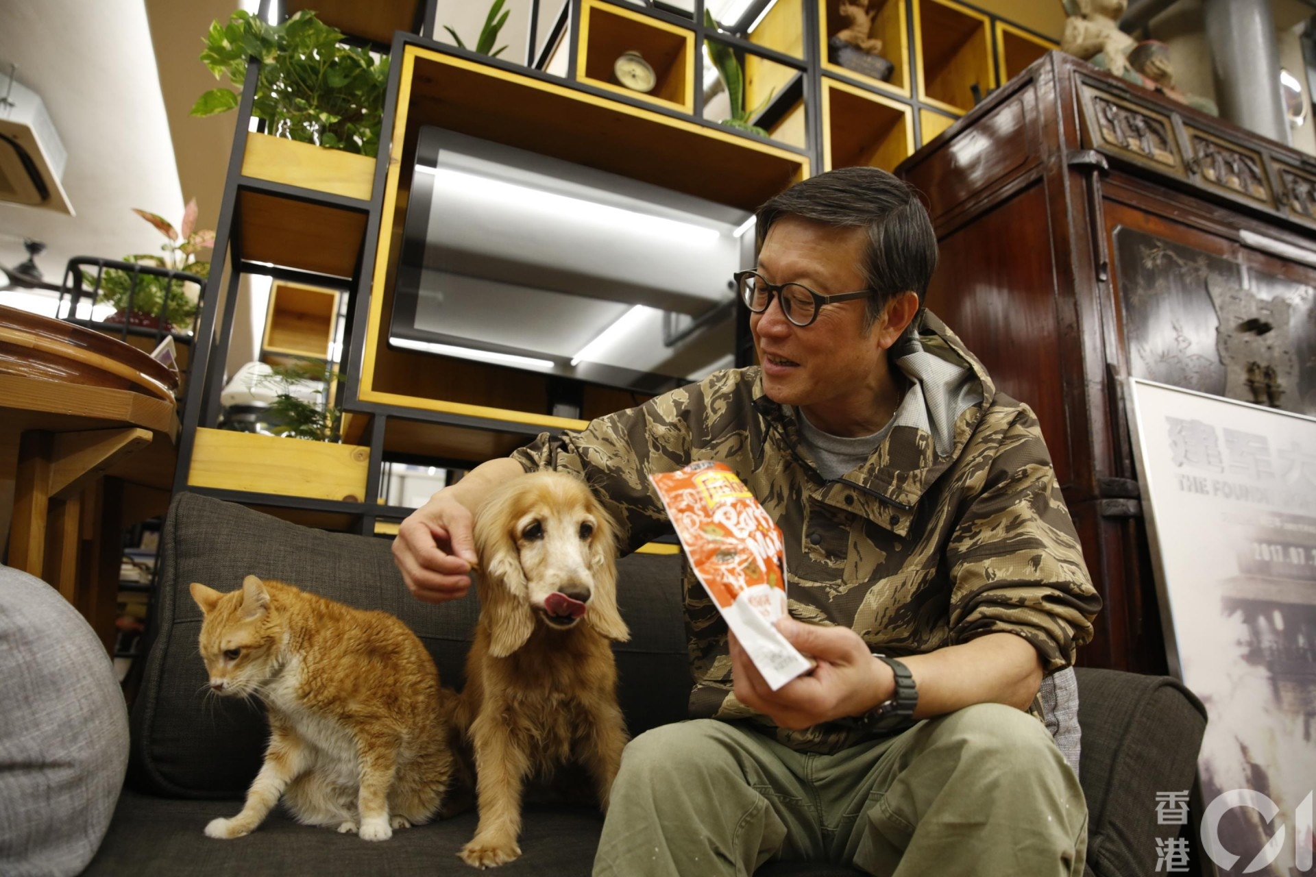 貓狗相處大多只有一個結果,狗狗被貓貓馴化。(陳順禎 攝) 貓狗相處大多只有一個結果,狗狗被貓貓馴化。(陳順禎 攝)