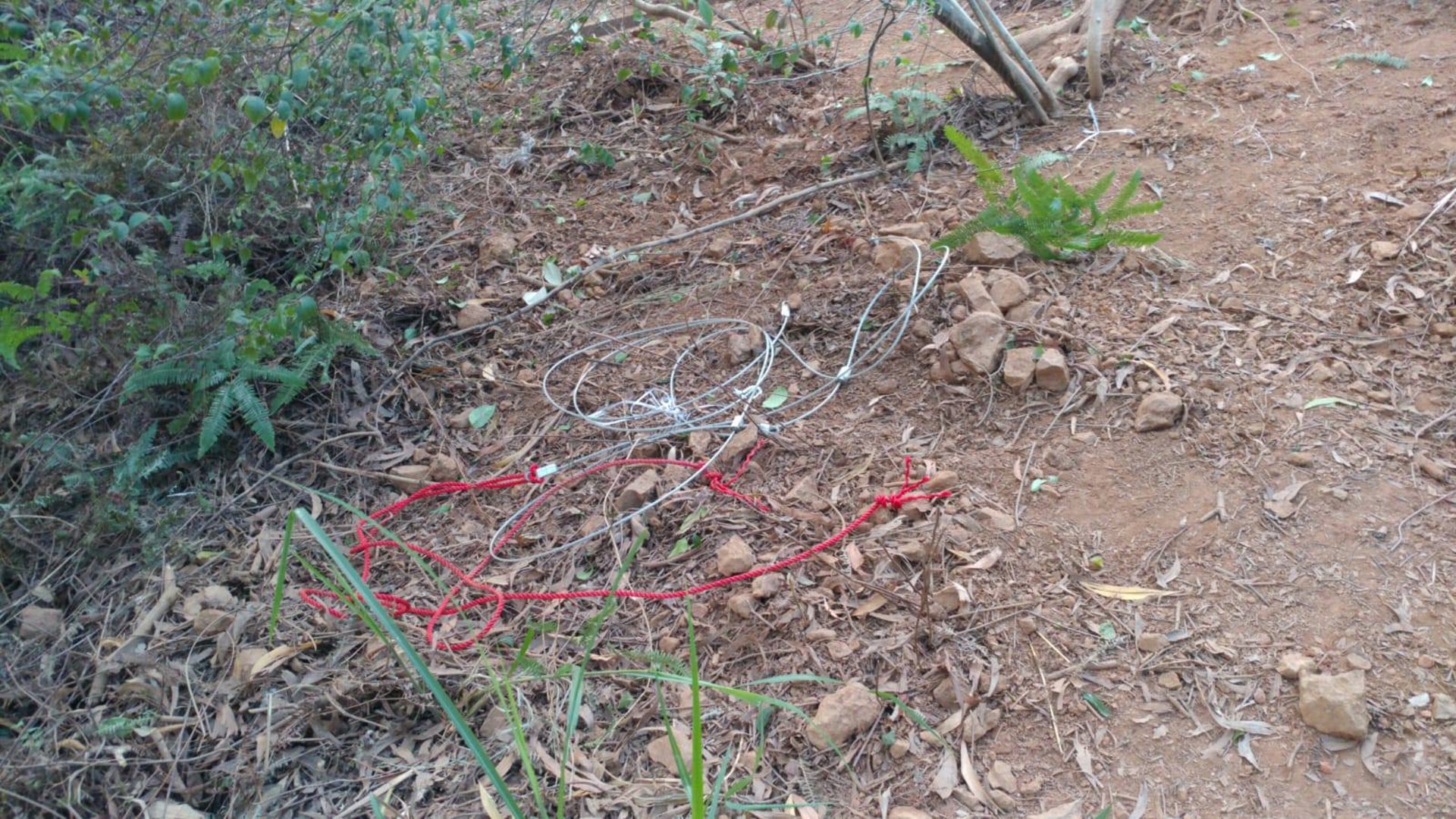 捕獸套索以紅色及銀色「威也」繩索組成。(香港野豬關注組專頁圖片) 捕獸套索以紅色及銀色「威也」繩索組成。(香港野豬關注組專頁圖片)