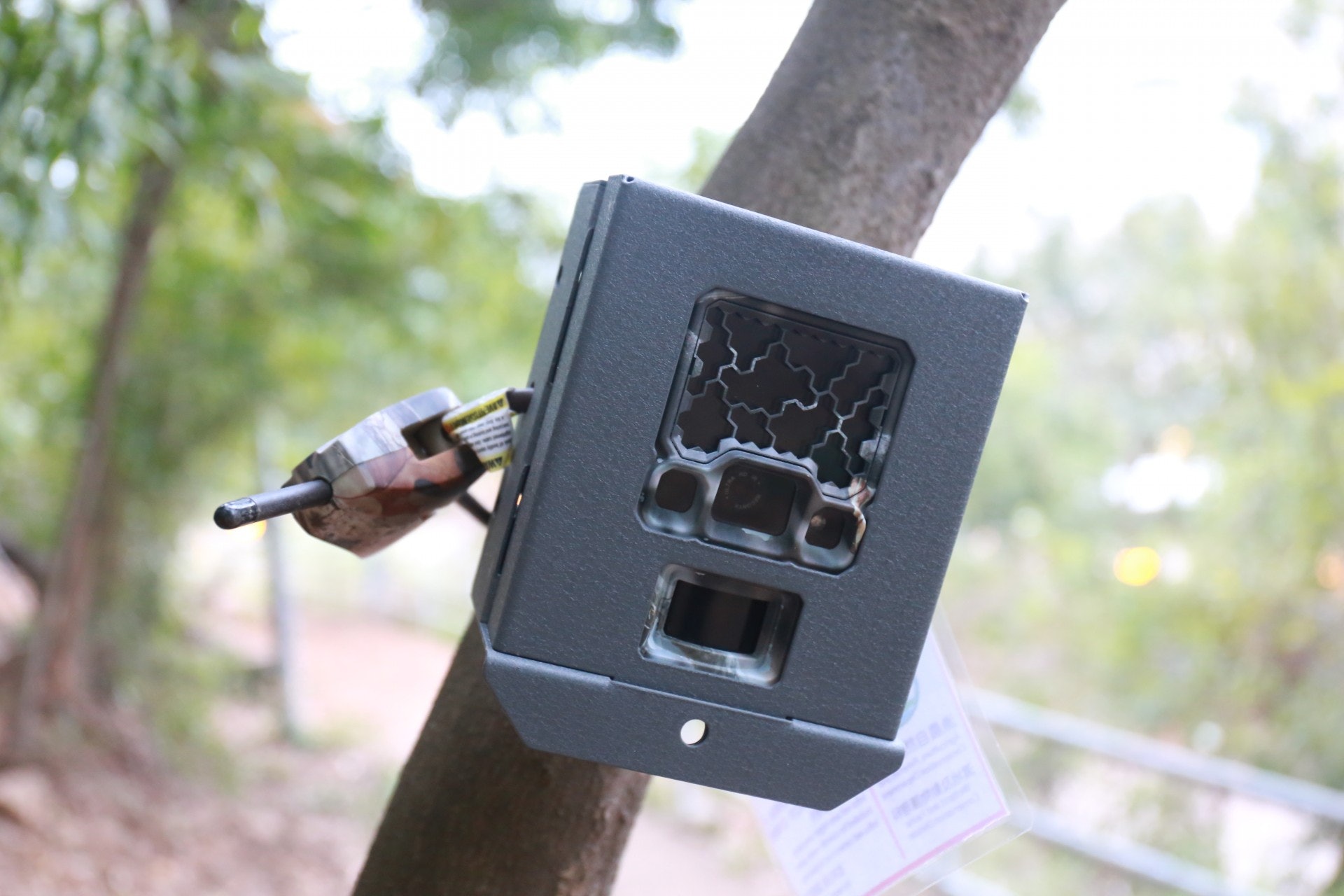 圖為紅外線熱感自動相機。(林振華攝) 圖為紅外線熱感自動相機。(林振華攝)