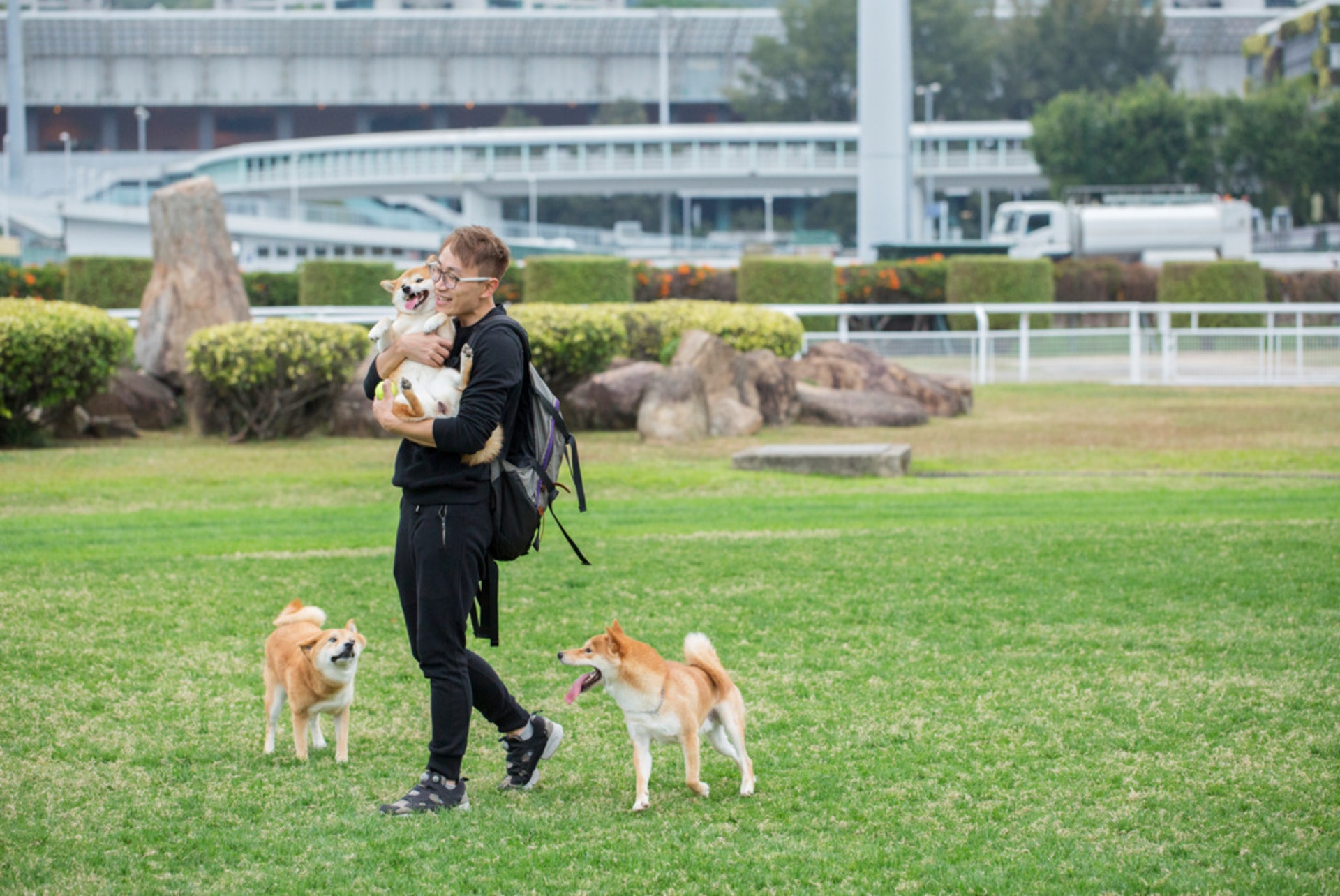 彭福公園為本地少數能讓狗主及寵物進入的地方 (資料圖片) 彭福公園為本地少數能讓狗主及寵物進入的地方 (資料圖片)