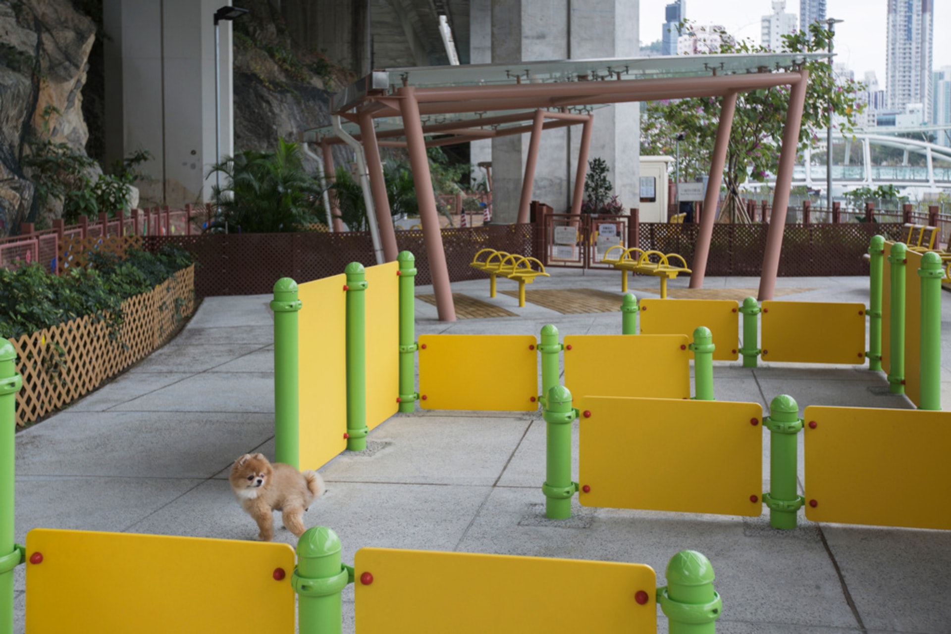 圖為鴨脷洲狗公園,園內較多予狗隻玩樂的設施。(資料圖片) 圖為鴨脷洲狗公園,園內較多予狗隻玩樂的設施。(資料圖片)