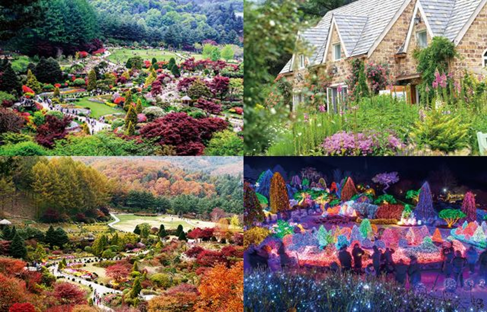 韓國京畿道 四季都有慶典 雲畫的月光 取景點 晨靜樹木園 韓國京畿道 四季都有慶典 雲畫的月光 取景點 晨靜樹木園