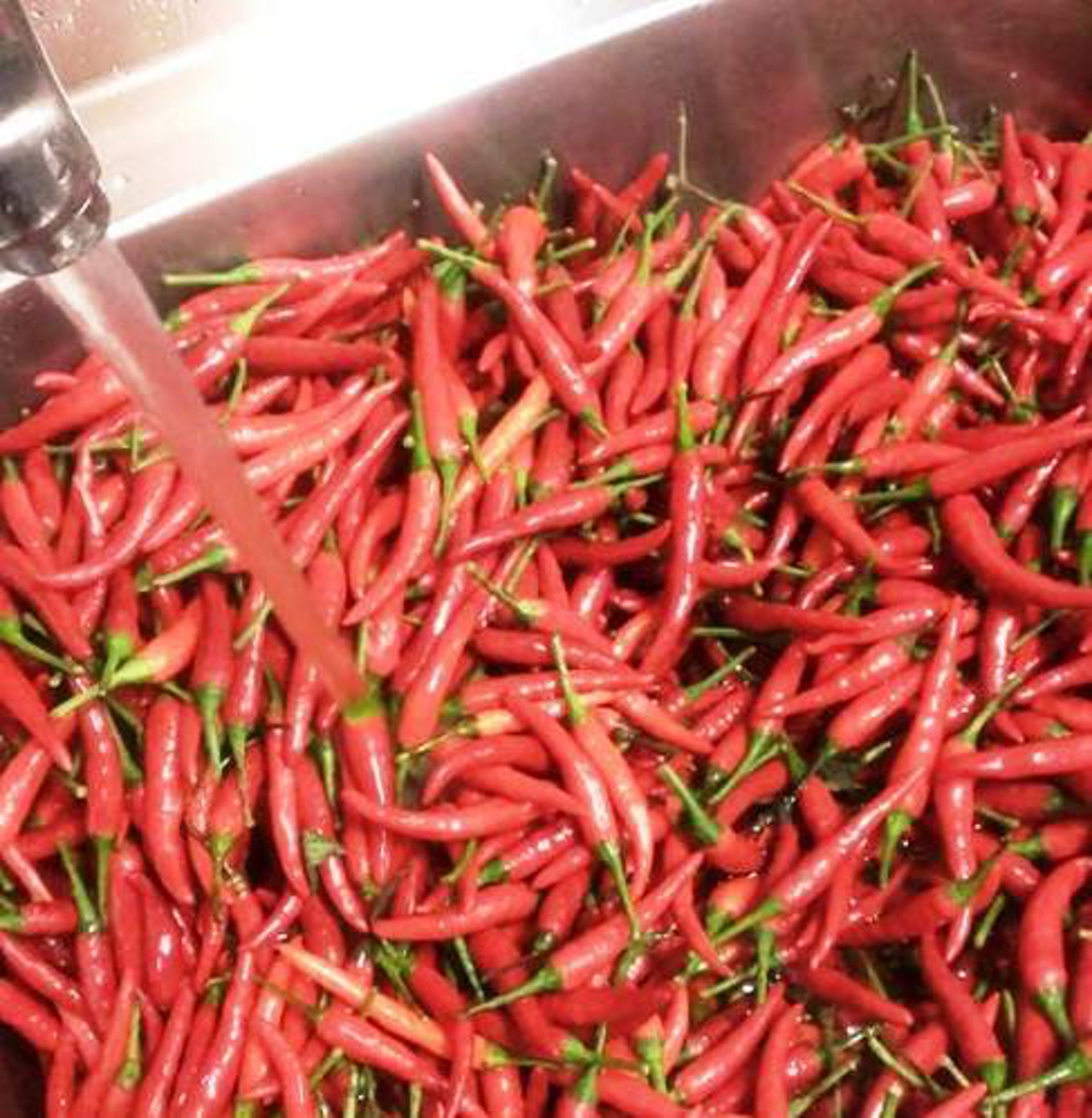 太和殿台北總店位於信義路上,店內裝潢古色古香,必點的當然是麻辣湯底。(太和殿@Facebook)