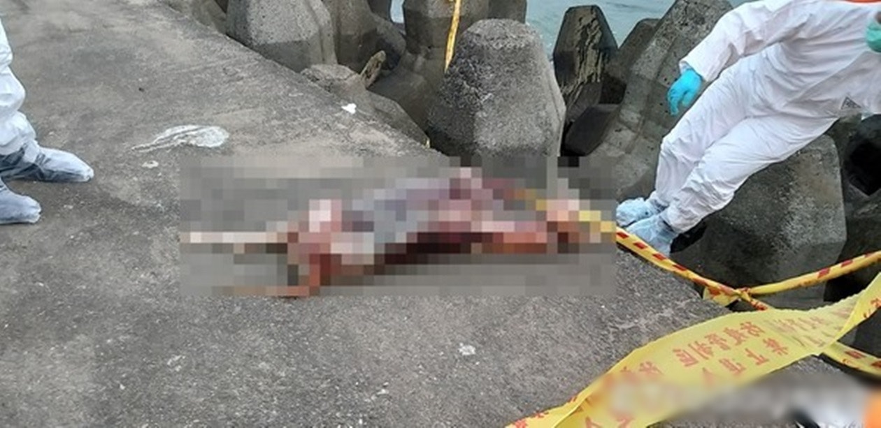 砂珠灣發現一隻疑似海漂死豬，後經證實為狗屍。（ETtoday）