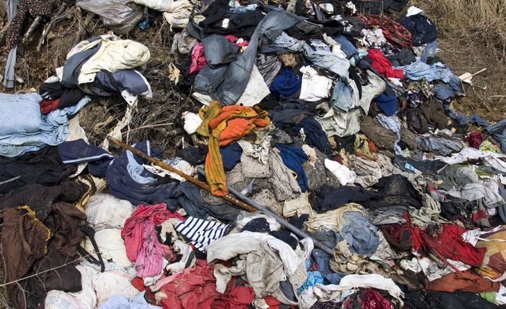 (網上圖片) (網上圖片)