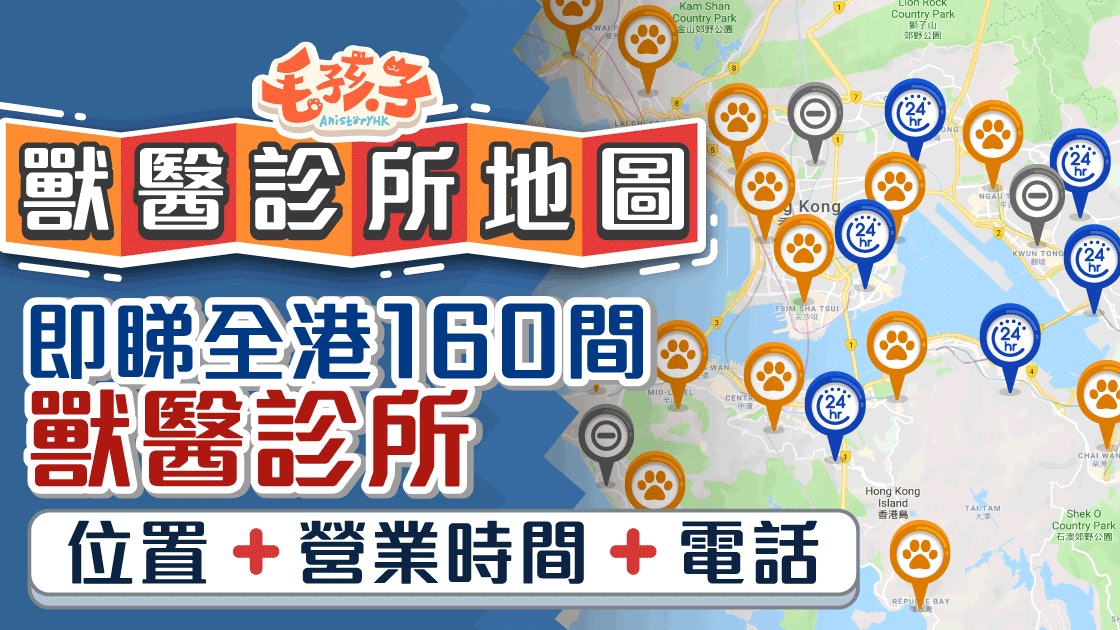 【寵物獸醫地圖】全港160間獸醫診所資料 求診手冊即學即用 【寵物獸醫地圖】全港160間獸醫診所資料 求診手冊即學即用