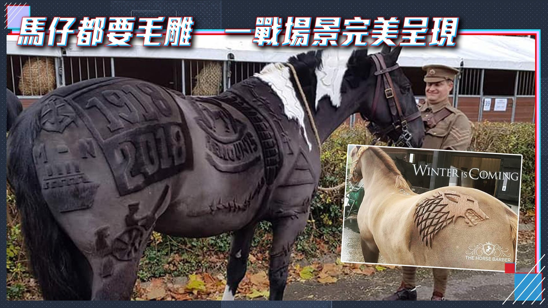 英國理髮師創意毛雕 馬仔《權力遊戲》標誌上身