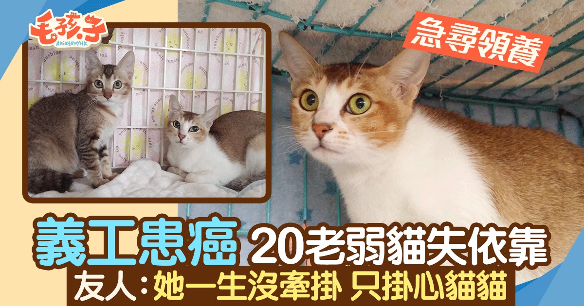 城大研新技術約1萬元可抽血測早期癌症最快半年後推出市場 醫師easy 城大研新技術約1萬元可抽血測早期癌症最快半年後推出市場 醫師easy