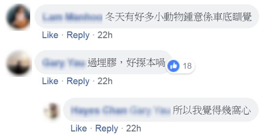網民形容「過埋膠,好揼本」。(fb群組「小心駕駛(討論別人駕駛態度)」截圖) 網民形容「過埋膠,好揼本」。(fb群組「小心駕駛(討論別人駕駛態度)」截圖)