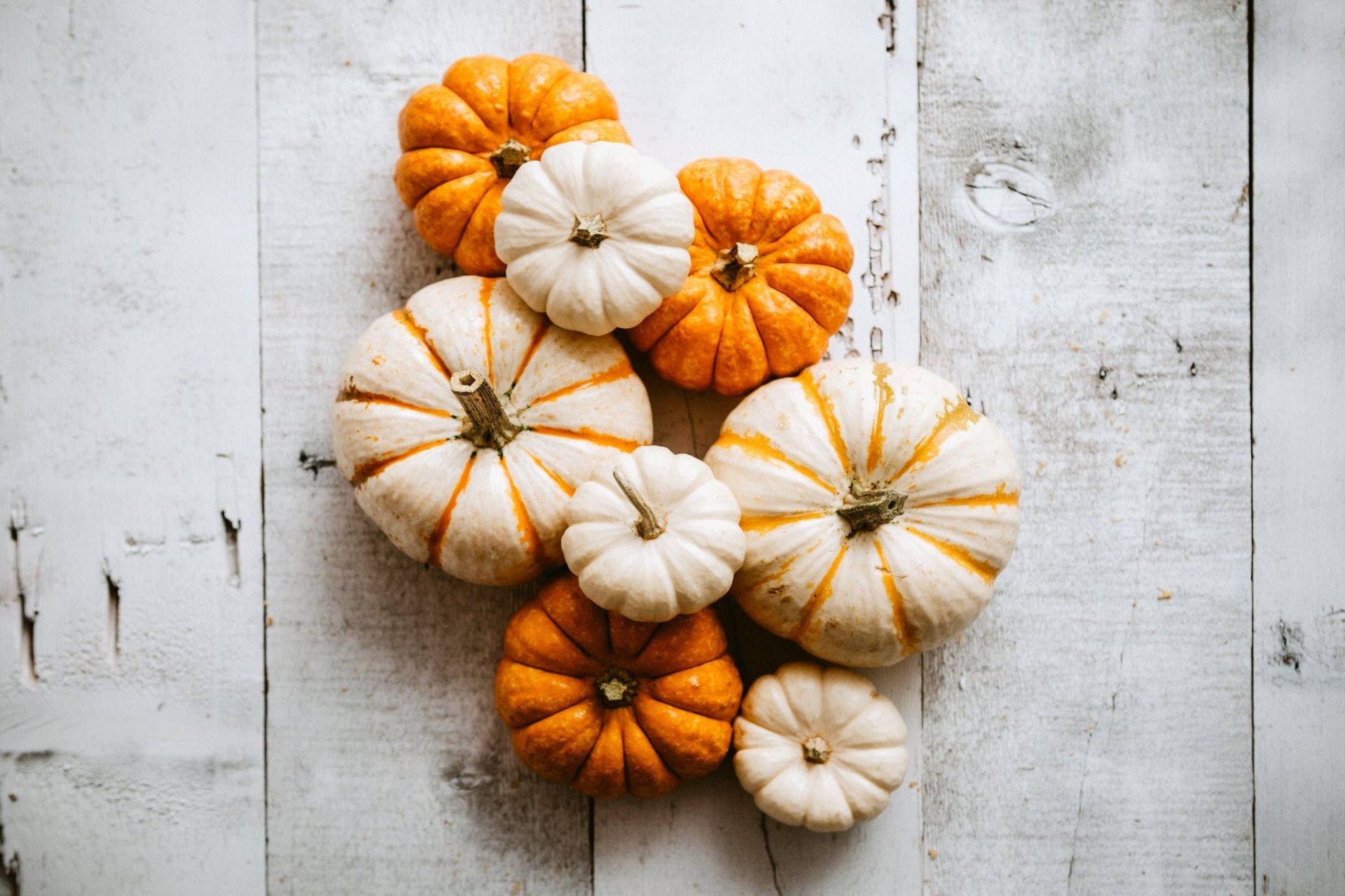 南瓜可以預防某些疾病,如糖尿病、高血壓等。把一個完整沒切過的南瓜放在通風陰涼處,便可以保存兩個月左右。(Gettyimages/視覺中國) 南瓜可以預防某些疾病,如糖尿病、高血壓等。把一個完整沒切過的南瓜放在通風陰涼處,便可以保存兩個月左右。(Gettyimages/視覺中國)