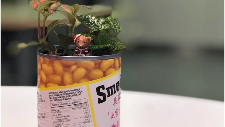 【森林家族】媽媽學員教整微型森林 棄置家品都可以「綠化」 【森林家族】媽媽學員教整微型森林 棄置家品都可以「綠化」