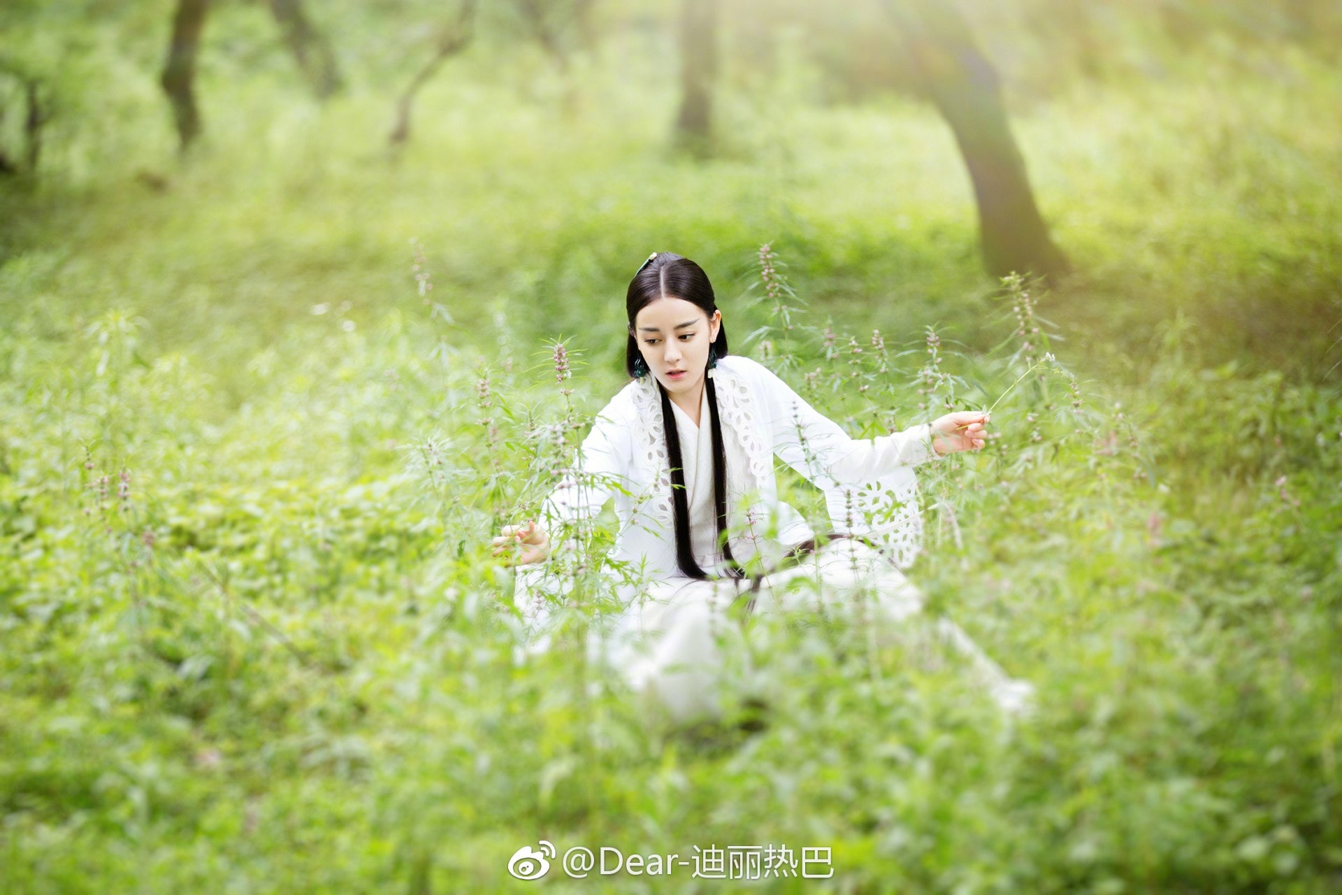 (網上圖片) (網上圖片)