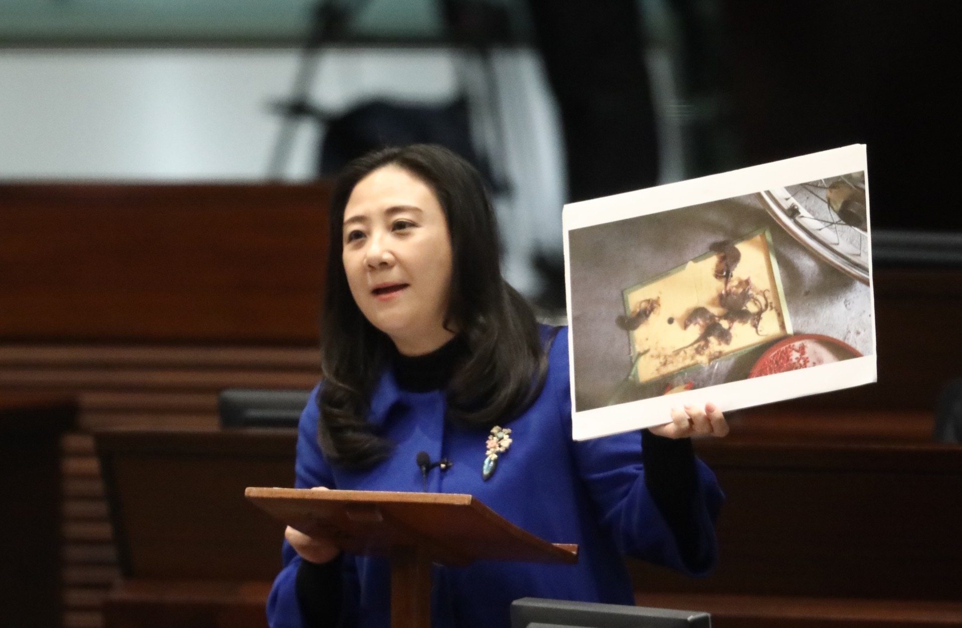 民建聯葛珮帆怒轟林鄭「屈建制派」。（盧翊銘攝）