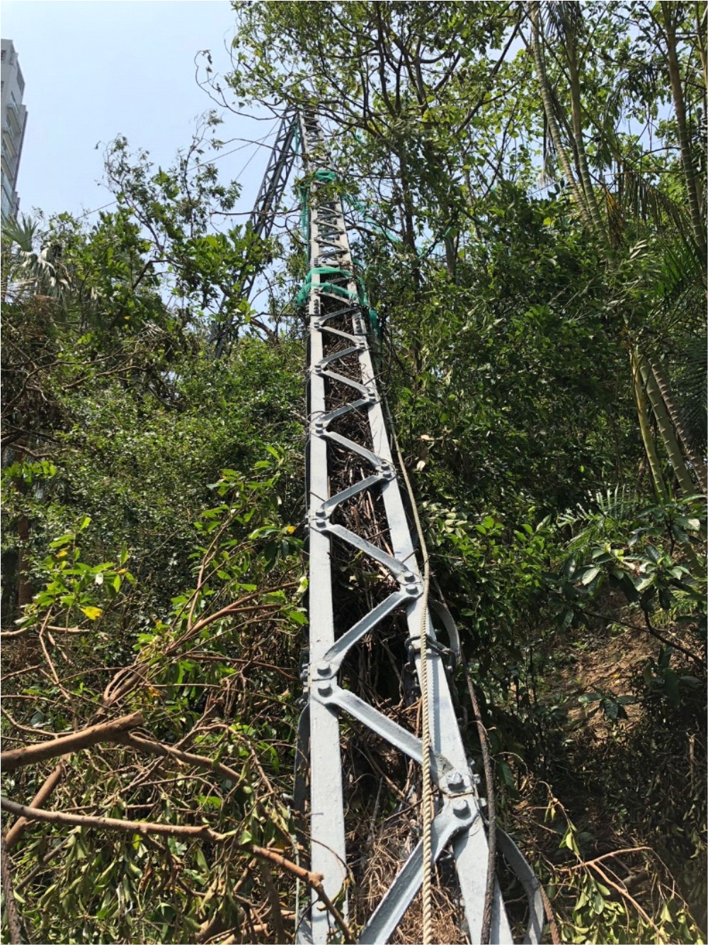 超強颱風山竹 天文台最完整記錄18個表盡顯 魔風 威力 香港01 社會新聞