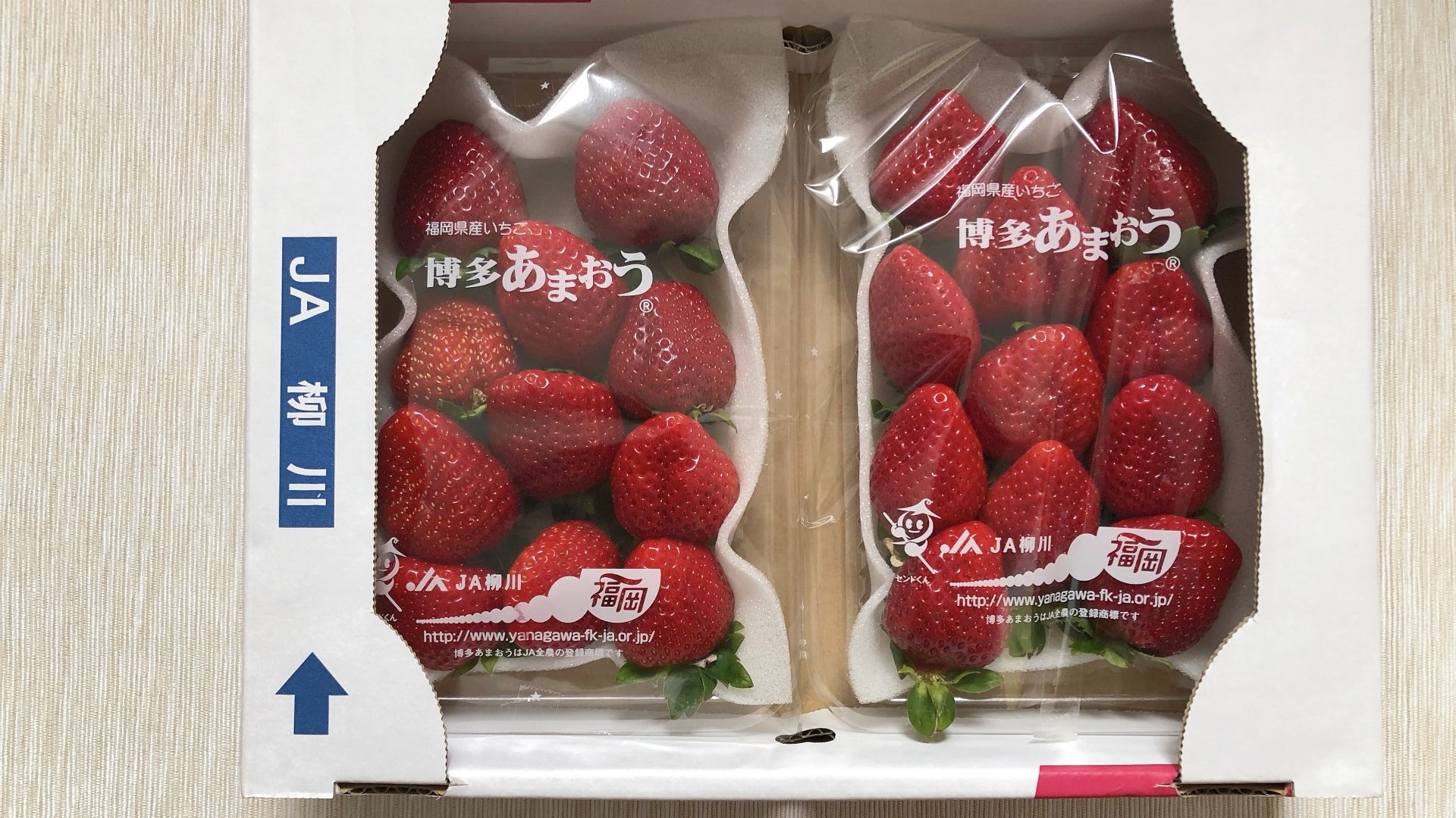 【食物安全】福岡、熊本士多啤梨農藥嚴重超標 專家教點洗最乾淨 【食物安全】福岡、熊本士多啤梨農藥嚴重超標 專家教點洗最乾淨