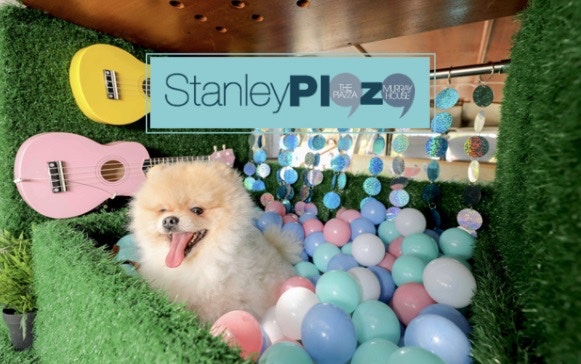 赤柱廣場允許狗狗在商場落地行走,更可進入大部分的商店,也曾舉辦以寵物為題的活動,讓狗狗與主人一同參與。(赤柱廣場Facebook專頁) 赤柱廣場允許狗狗在商場落地行走,更可進入大部分的商店,也曾舉辦以寵物為題的活動,讓狗狗與主人一同參與。(赤柱廣場Facebook專頁)