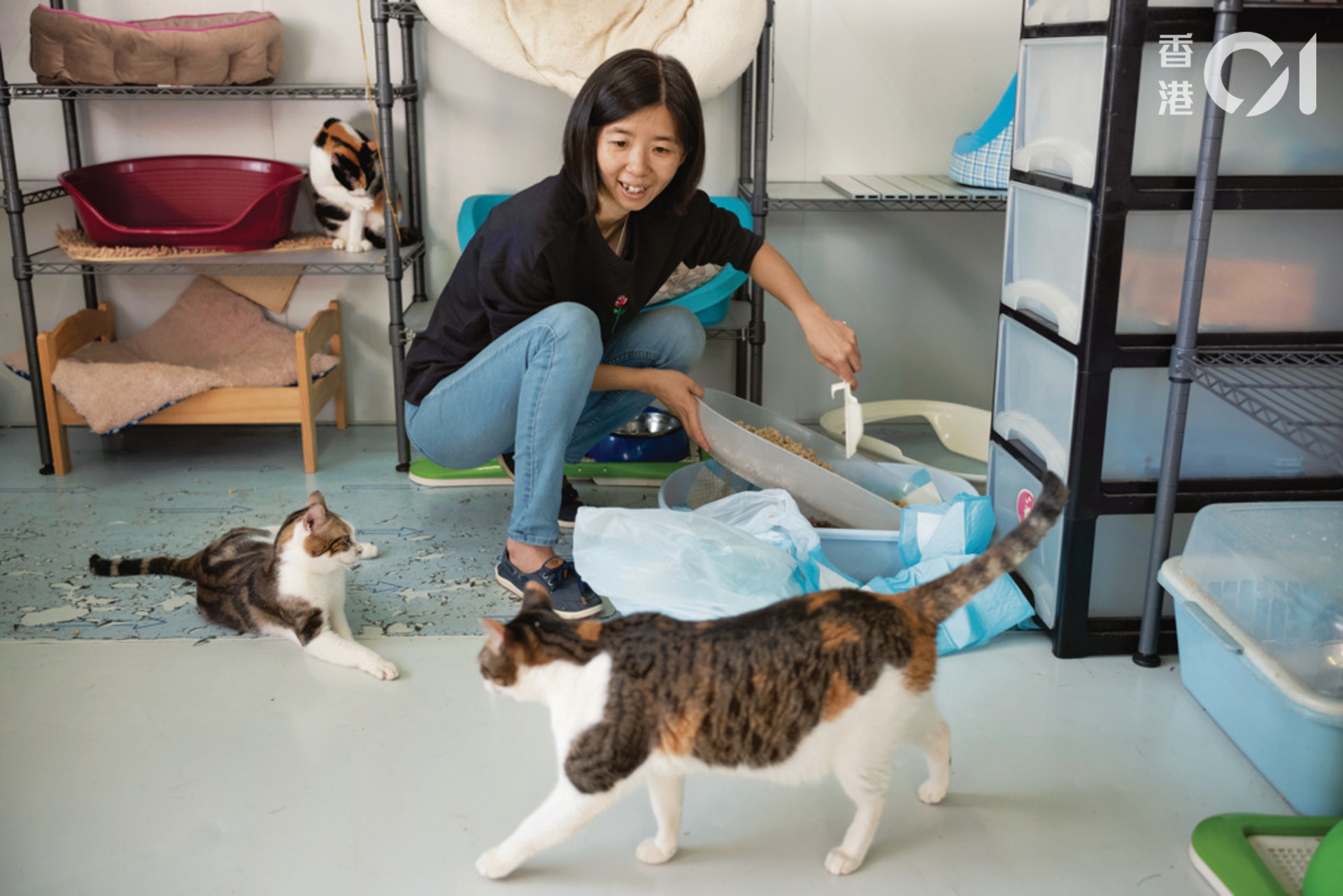 謝婉儀每天親力親為照顧貓狗,累得無法停下來,每天看着貓狗卻仍很開心。(高仲明攝) 謝婉儀每天親力親為照顧貓狗,累得無法停下來,每天看着貓狗卻仍很開心。(高仲明攝)
