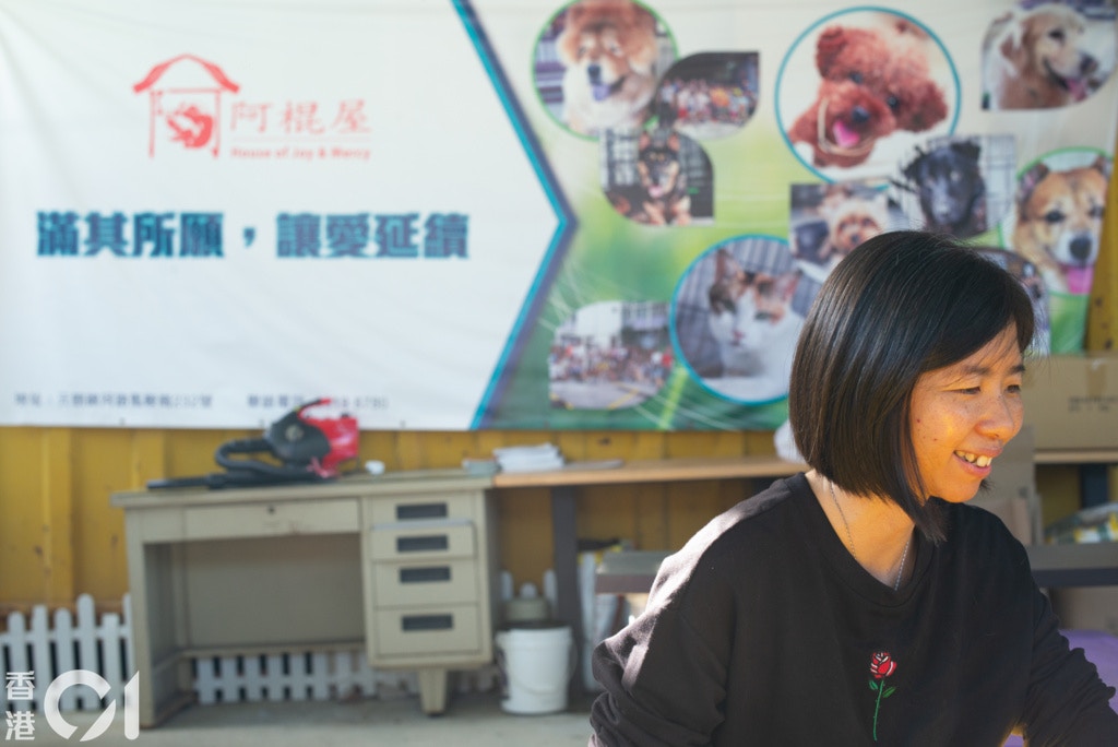 謝婉儀只希望,阿棍屋幫到貓狗的同時,也幫到人。(高仲明攝) 謝婉儀只希望,阿棍屋幫到貓狗的同時,也幫到人。(高仲明攝)