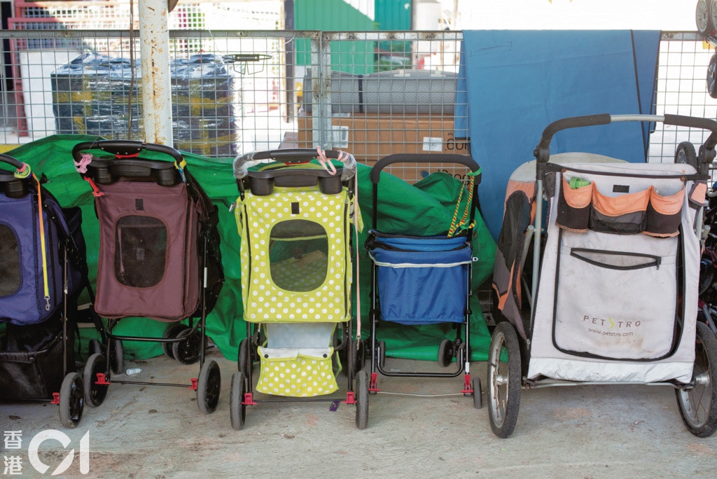 阿棍屋的大部分物資都是由善心人士捐贈,寵物手推車可讓義工帶狗隻外出散步。(高仲明攝) 阿棍屋的大部分物資都是由善心人士捐贈,寵物手推車可讓義工帶狗隻外出散步。(高仲明攝)
