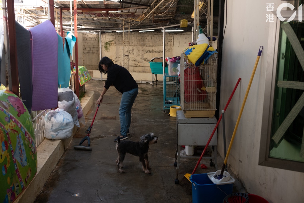 單是打掃清潔,已花去很多的時間精力,幸而現時聘用了一位兼職的員工,稍為減輕壓力。(高仲明攝) 單是打掃清潔,已花去很多的時間精力,幸而現時聘用了一位兼職的員工,稍為減輕壓力。(高仲明攝)