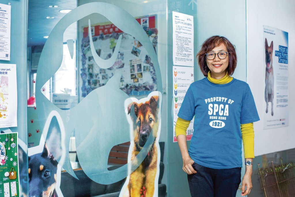 趙明明建議從寵物店買動物的主人盡快去為動物做檢查,非法繁殖場的狗媽媽在高壓的環境下過日子,牠們的後代未必健康。(鄧倩螢攝) 趙明明建議從寵物店買動物的主人盡快去為動物做檢查,非法繁殖場的狗媽媽在高壓的環境下過日子,牠們的後代未必健康。(鄧倩螢攝)