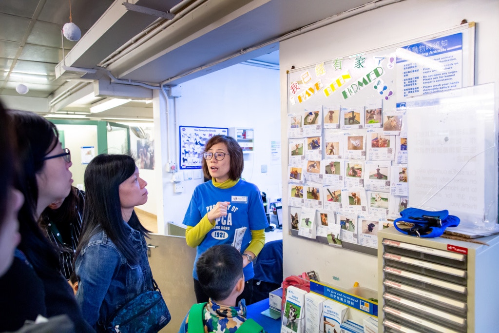 愛護動物協會的活動希望小朋友和父母也能建立正確的養寵物意識。(鄧倩螢攝) 愛護動物協會的活動希望小朋友和父母也能建立正確的養寵物意識。(鄧倩螢攝)
