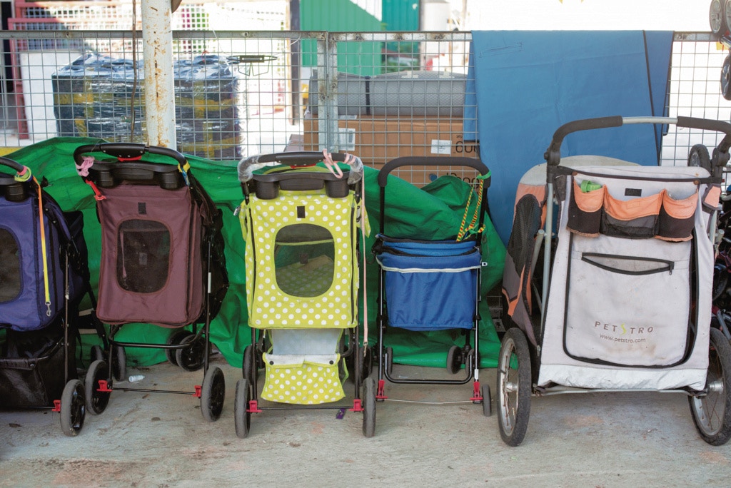 阿棍屋的寵物手推車讓義工可以和狗隻一同外出,讓義工學習和狗隻相處。(高仲明攝) 阿棍屋的寵物手推車讓義工可以和狗隻一同外出,讓義工學習和狗隻相處。(高仲明攝)