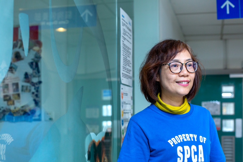 愛護動物協會也是政府協助推行TNR計劃的機構之一,趙明明認為絕育也是重要的減少流浪貓狗的措施。(鄧倩螢攝) 愛護動物協會也是政府協助推行TNR計劃的機構之一,趙明明認為絕育也是重要的減少流浪貓狗的措施。(鄧倩螢攝)