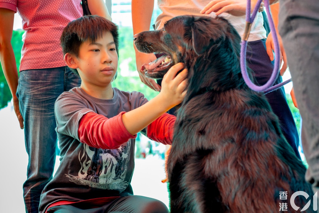 不少家長帶同他們的小朋友前來,接觸動物及了解領養程序。(鄧倩螢攝) 不少家長帶同他們的小朋友前來,接觸動物及了解領養程序。(鄧倩螢攝)
