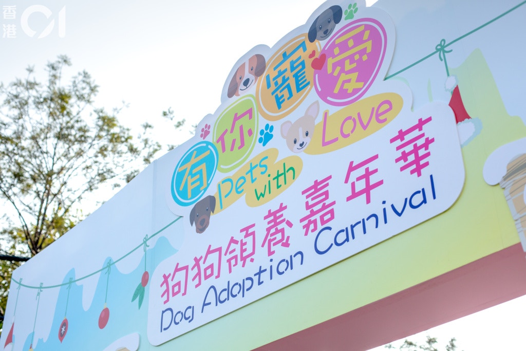 狗狗領養嘉年華是漁護署的持續大型領養活動,宣揚「領養不棄養」。(鄧倩螢攝) 狗狗領養嘉年華是漁護署的持續大型領養活動,宣揚「領養不棄養」。(鄧倩螢攝)
